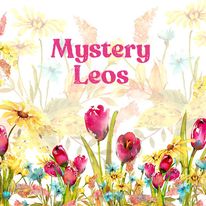 Load image into Gallery viewer, Short &amp; Long Sleeved Mystery Leos