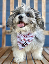 Load image into Gallery viewer, Reversibile Doggie Bandanna