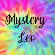 Load image into Gallery viewer, Short Sleeved Mystery Leos
